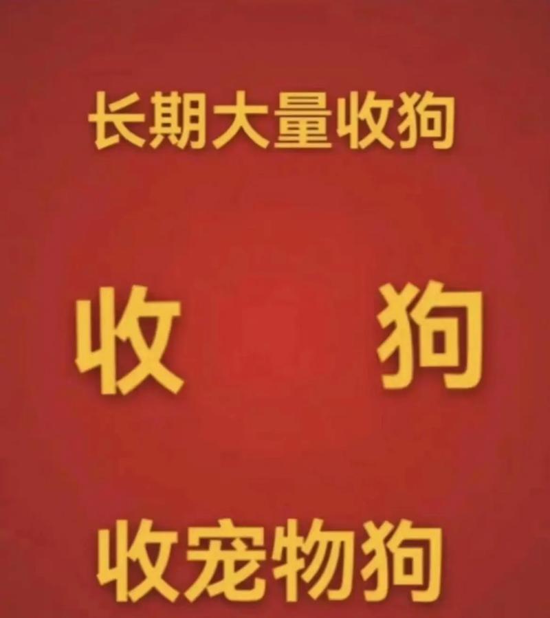 貨運(yùn)收狗貨運(yùn)狗狗需要多少錢(qián)